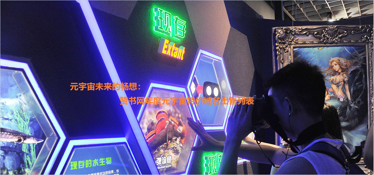 元宇宙未来的畅想：赞书网年度元宇宙特价域名出售列表
